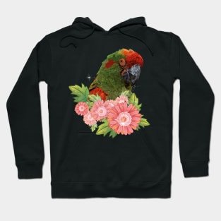 Cochabamba Macaw Hoodie